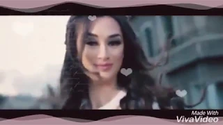 شوف بعينك شوف شو عامل حبك شووف 
