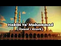 Download Lagu Habibi Ya' Muhammad ( Slowed + Reverb ) || Beautiful Nasheed ||