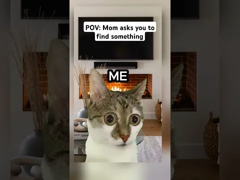 CAT MEMES: Mom Ask You to Find Something #relateable #cat