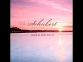 Symphony No. 7 in B Minor. D. 759 "Unfinished": I. Allegro moderato