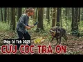 Download Lagu Phim Cổ Tích 2025 | CỨU CÓC TRẢ ƠN | Phim Truyện Cổ Tích 2025 | Cổ Tích Việt Nam 2025 | Cổ Tích THVL
