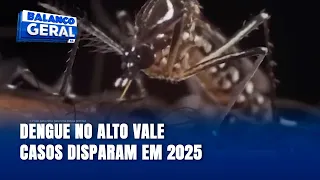Região do Alto Vale registra 140 casos prováveis de dengue em 2025