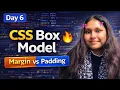 CSS Box Model in Hindi Margin Padding Border Explained Day 6 HTML CSS Course