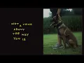 Bitin' List (Lyric Video) - Tyler Childers