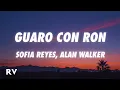 Download Lagu Sofia Reyes, Alan Walker - GUARO CON RON