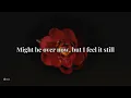 Portugal. The Man - Feel It Still | Lyrics