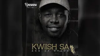 kwiish sa approved sax main mix feat de mthuda visualizer 