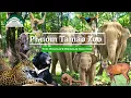 Download Lagu Bezoek de grootste dierentuin in Cambodja 2020 (deel 1) | Phnom Tamao Wildlife Rescue Center
