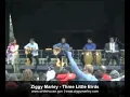 Three Little Birds - Ziggy Marley