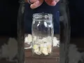 Download Lagu Easiest way to peel garlic 🧄