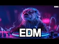 Download Lagu Electric Drop 2025 | Festival Hard EDM Club Mix with Hypnotic Bass Tunnel Visuals