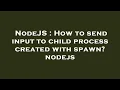 NodeJS How to send input to child process created with spawn nodejs