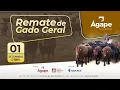 Download Lagu Remate de Gado Geral - 01 de Setembro de 2025 - Mostardas/RS