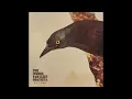 Download Lagu The Ivonne Van Cleef Orchestra - Ojo fatale (2023) (Desert rock)