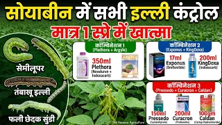 सोयाबीन में सभी प्रकार की इल्ली कंट्रोल | सेमीलूपर, तंबाकू इल्ली, काली इल्ली का Best Spray