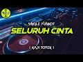 Download Lagu Funkot - SELURUH CINTA [KAJI TOYEK] #Funkytonestyle
