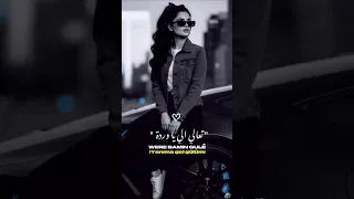 الاغنيه الكرديه الشهيره  اذهبي يا وردتي دندنها