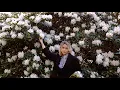 Resa Saffa Park - I Can See The World