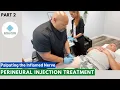 Perineural Injection Treatment Part 2 Palpating the Inflamed Nerve Evolution Integrative Medicine