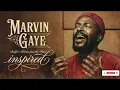 Lagu Chicago Soul | Marvin Gaye Inspired 1970s Soul — Quiet Fire [Unreleased Album]