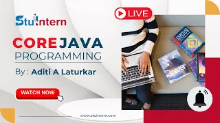 Primitive Datatypes Wrapper Classes Stuintern