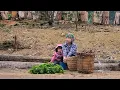 Download Lagu Life of a Single Mother: Gathering Wild Vegetables with Her Daughter