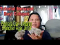 Download Lagu Tutorial merawat baby burung hantu celepuk