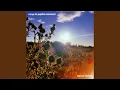 Download Lagu Voyage Du Papillon (Remastered 2023)