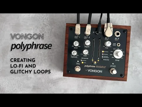 Vongon Polyphrase Stereo Echo | Delicious Audio