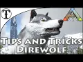 Fast Direwolf Taming Guide Ark Survival Evolved Tips and Tricks