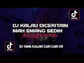 Download Lagu DJ KALAU DICERITAIN MAH EMANG SEDIH X HALA RAIDING VIRAL TIKTOK !!!!