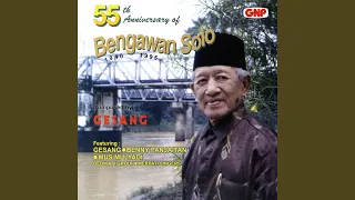 bengawan solo cha cha version 