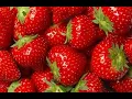 Download Lagu Tiko strawberry (Instrumental version)