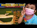 Download Lagu Plaza Balikpapan Trade Center Ada Pameran Ular Ayam Iguana Monyet Kelinci Ikan