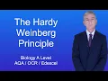 A Level Biology Revision Year 13 The Hardy Weinberg Principle