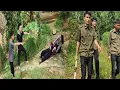 Download Lagu What happens when two dangerous criminals break into police officer Thuan's house?