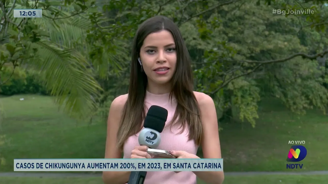 Secretaria de Saúde de Joinville confirma mais duas mortes por dengue