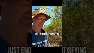 FEED THE CHOOKS  #sailinglife #travel #oceanlife #zanzibar