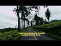 Download Lagu Pemandangan Indah di Jalan Ciwidey Bandung yang bikin betah