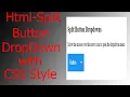 How to Create a Split Button Dropdown Only Html and CSS 2021