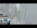 Guild Wars 2 Timberline Falls Map Completion No hearts