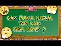 Download Lagu 10 Teka Teki Lucu dan Menjebak Part 13 #Kuiz Jenius #Tes Jenius