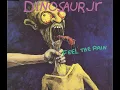 Dinosaur Jr. - Feel The Pain