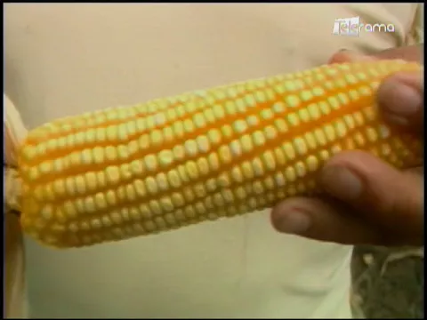 Ecuador Agropecuario 07-02-2018