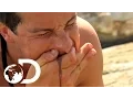 Download Lagu Bear Grylls' Top 3 Most Disgusting Moments | NOT FOR THE SQUEAMISH