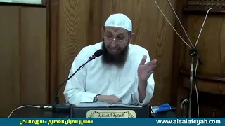 228 تفسير القرآن العظيم تفسير سورة النحل من الآية 79 إلى 81 