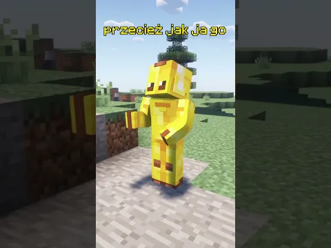 ZBUDOWAŁEM SYMULATOR MINECRAFT!  #minecraft #minecraftshorts