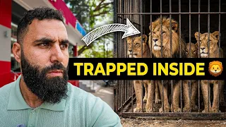 ABDEEN TRAPPED WITH 4 LIONS IN ONE CAGE! 🦁😱