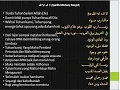 Download Lagu La ilaha illallah by Misyari Rasyid