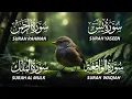 Download Lagu The Most Beautiful Surah Yaseen (Yasin) | Surah Rahman | Surah Waqiah | Surah Mulk |